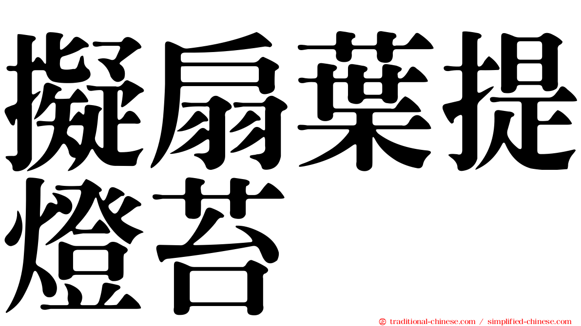 擬扇葉提燈苔