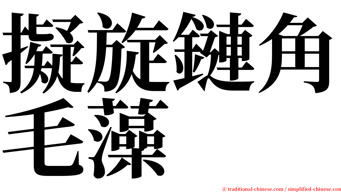 擬旋鏈角毛藻 serif font