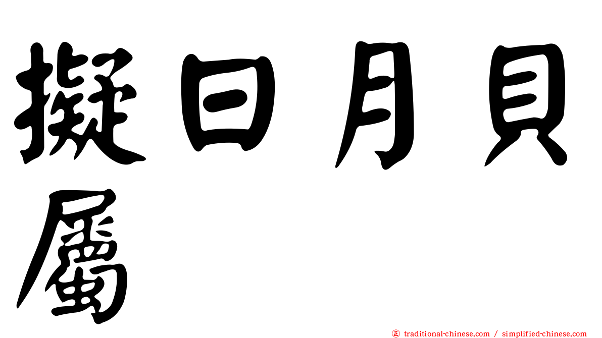 擬日月貝屬