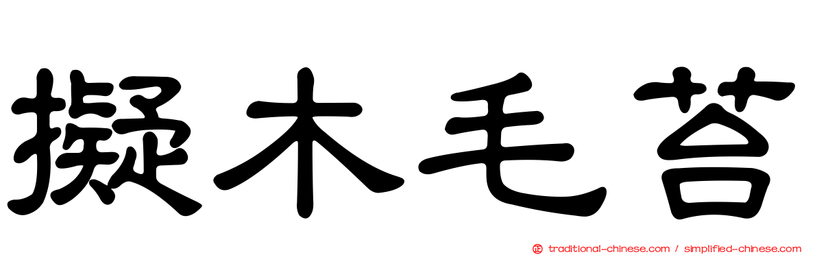 擬木毛苔