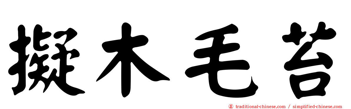 擬木毛苔