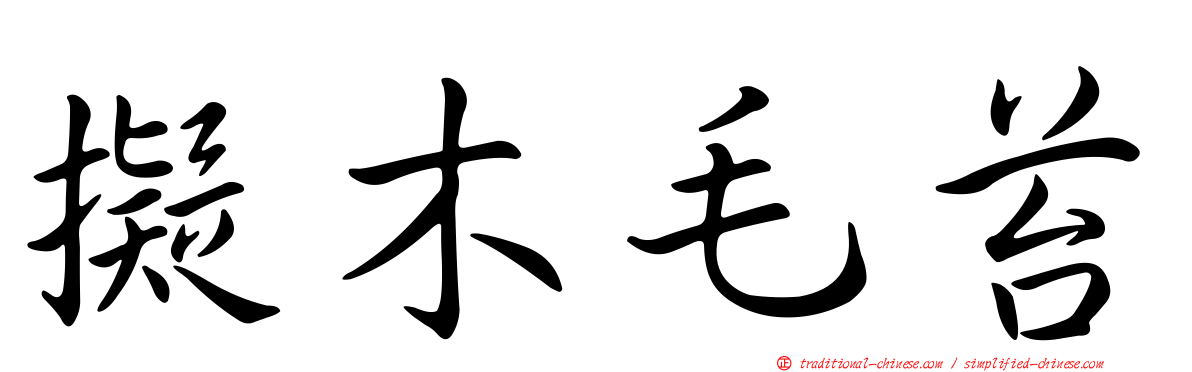 擬木毛苔