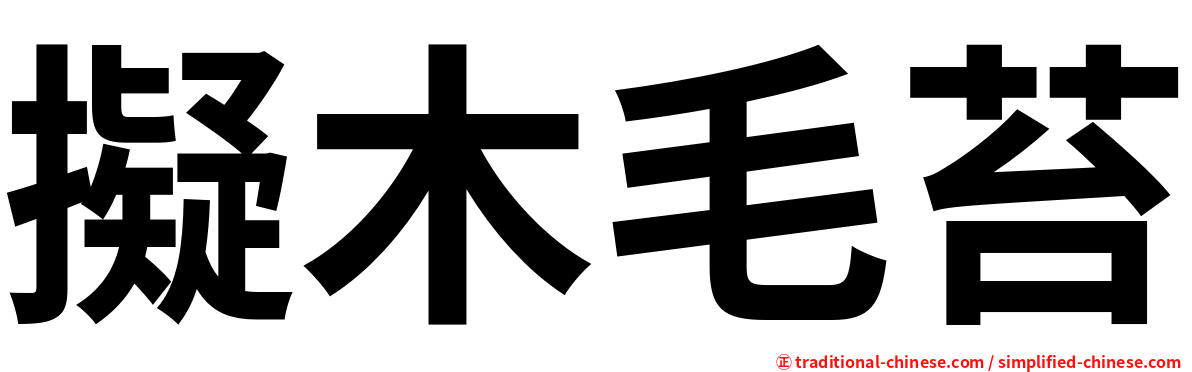 擬木毛苔