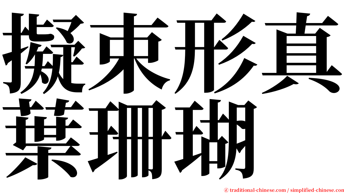 擬束形真葉珊瑚 serif font