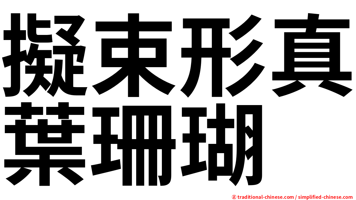 擬束形真葉珊瑚