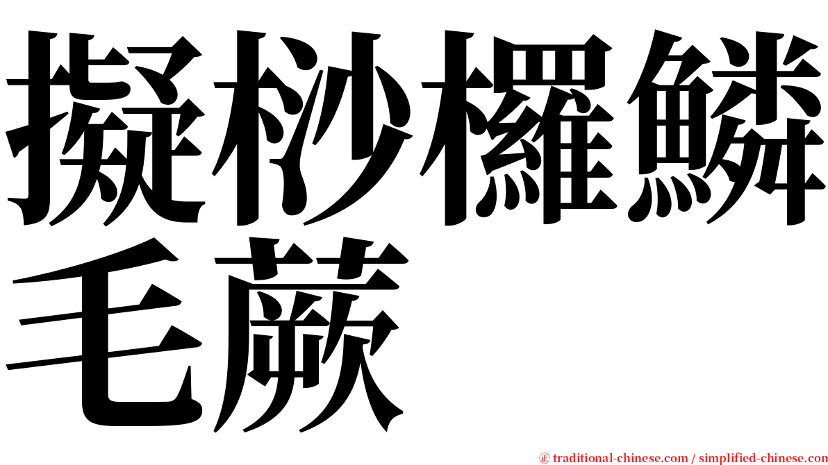 擬桫欏鱗毛蕨 serif font