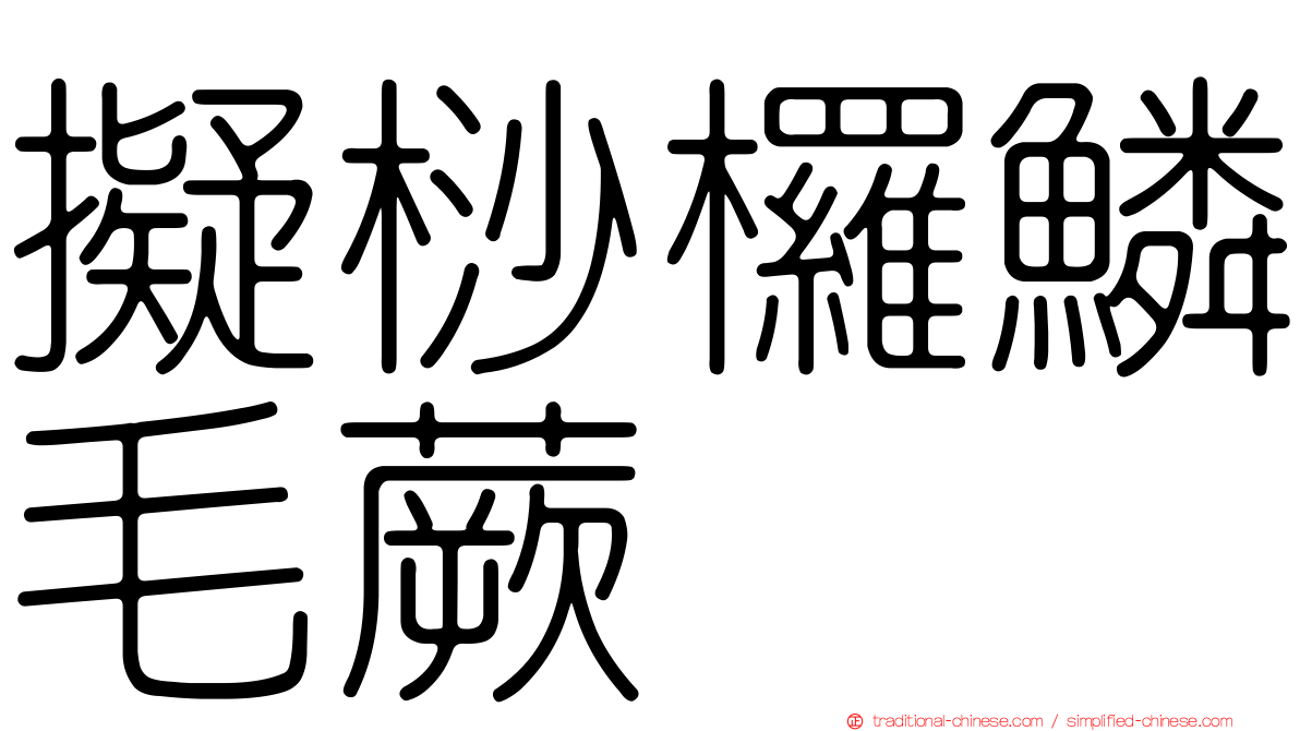 擬桫欏鱗毛蕨