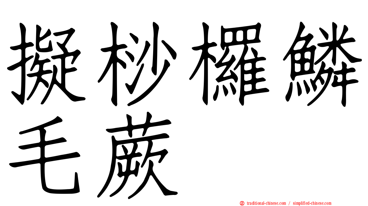 擬桫欏鱗毛蕨