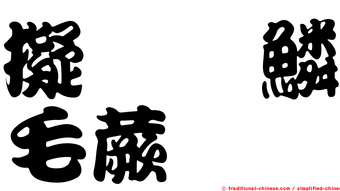 擬桫欏鱗毛蕨
