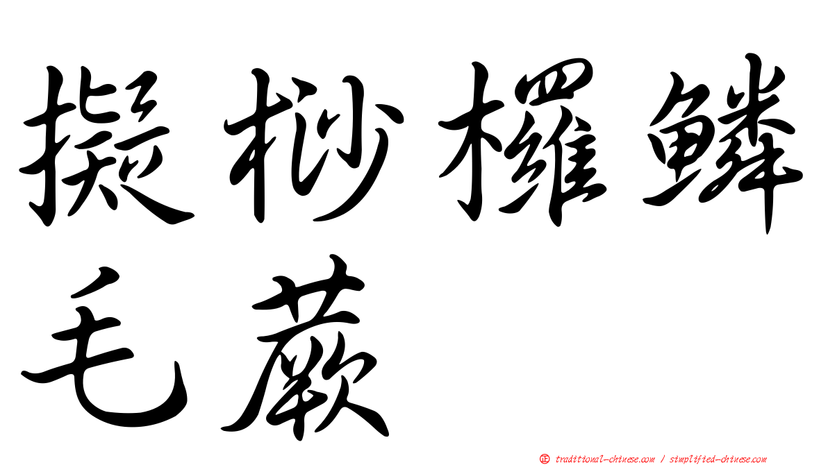 擬桫欏鱗毛蕨