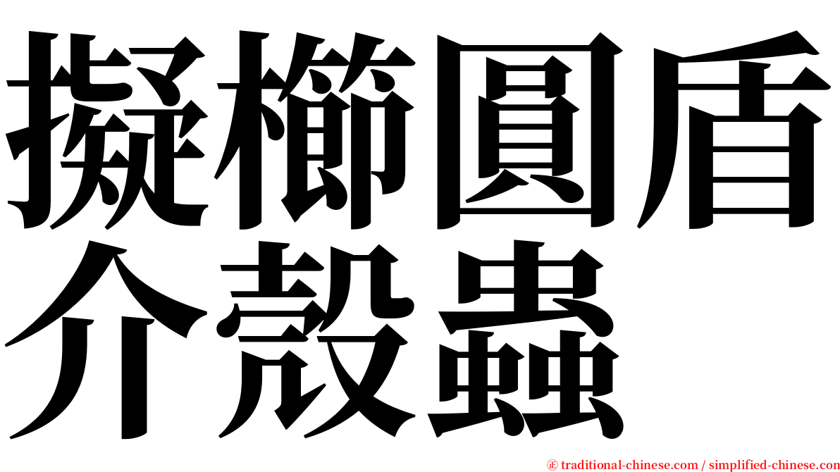 擬櫛圓盾介殼蟲 serif font