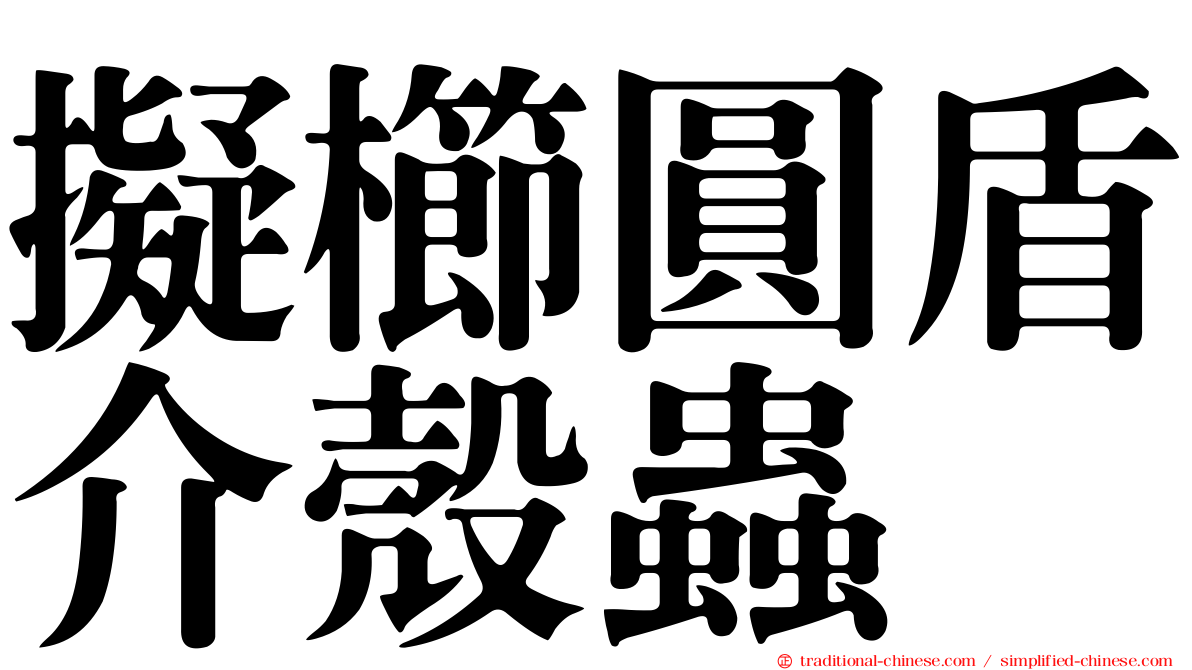 擬櫛圓盾介殼蟲