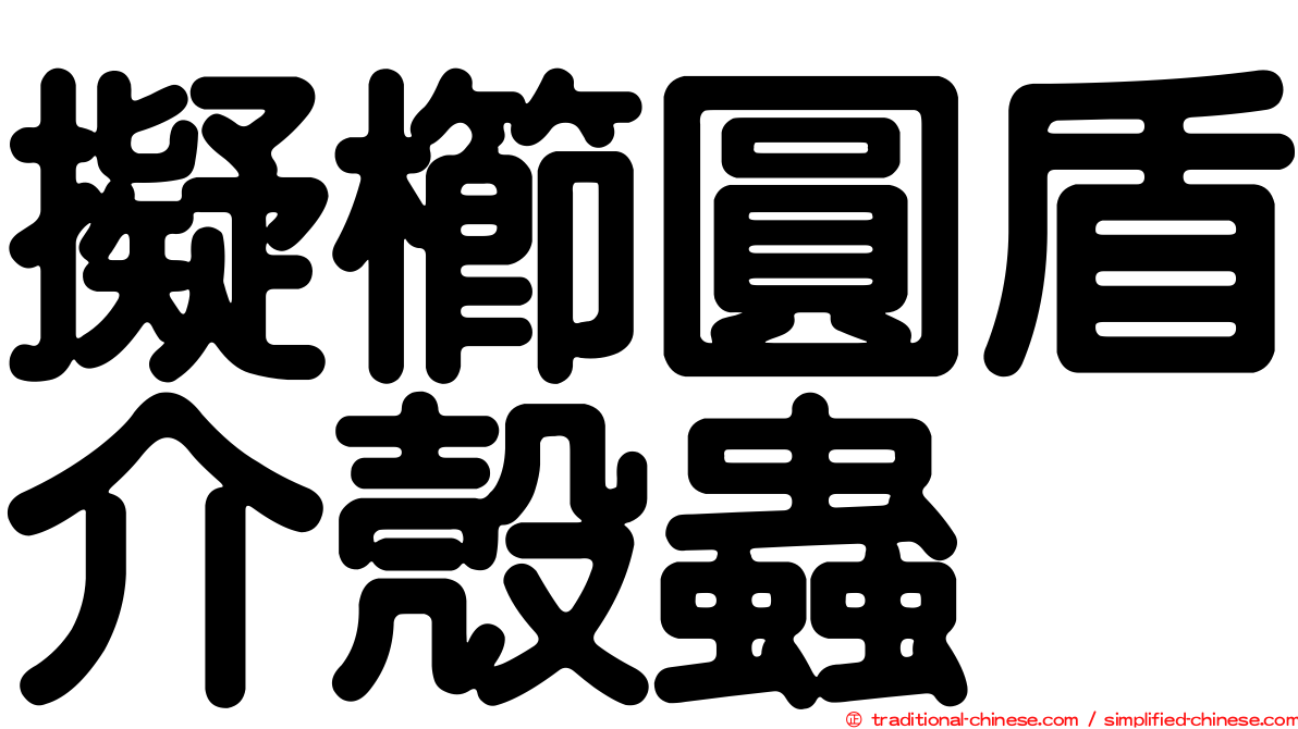 擬櫛圓盾介殼蟲