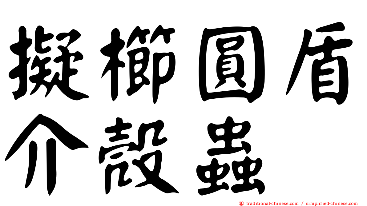 擬櫛圓盾介殼蟲