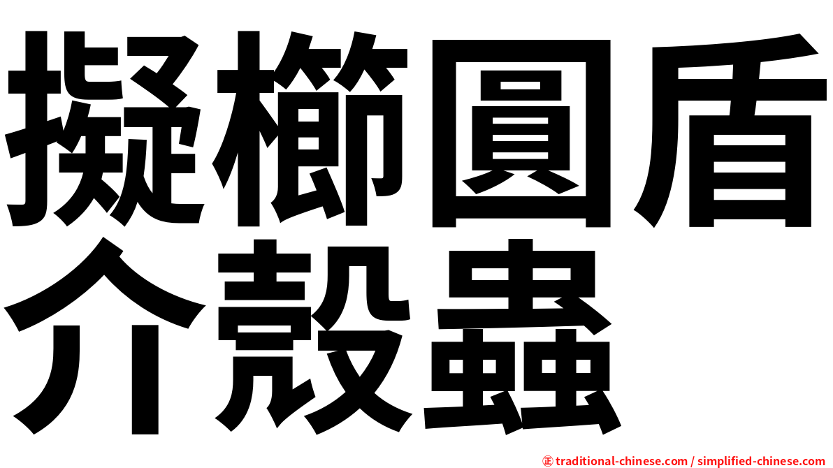 擬櫛圓盾介殼蟲