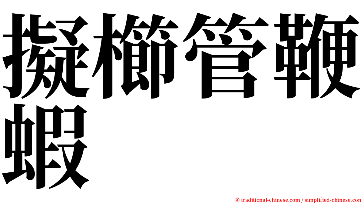 擬櫛管鞭蝦 serif font