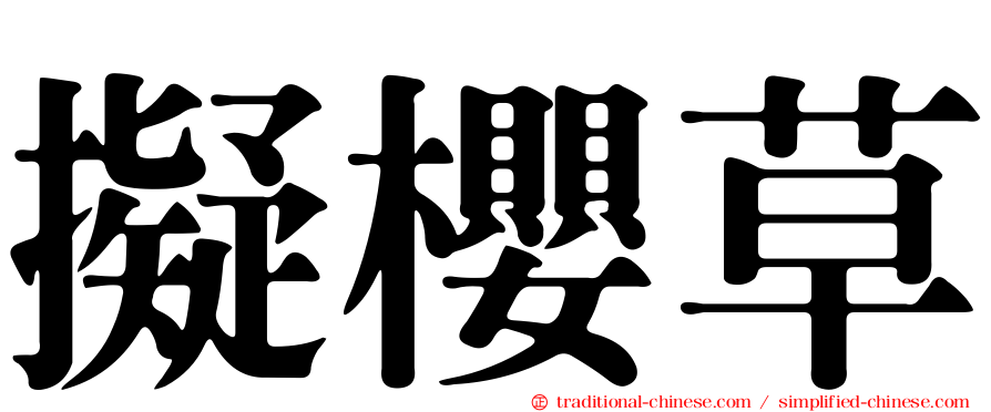 擬櫻草