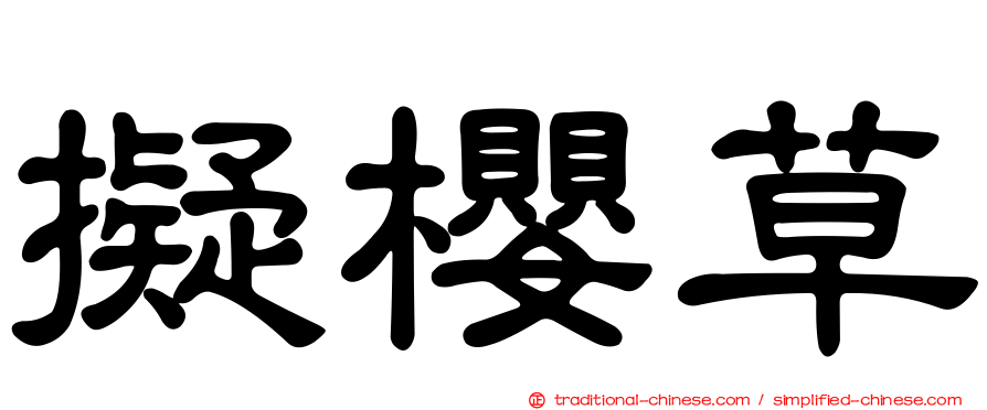 擬櫻草