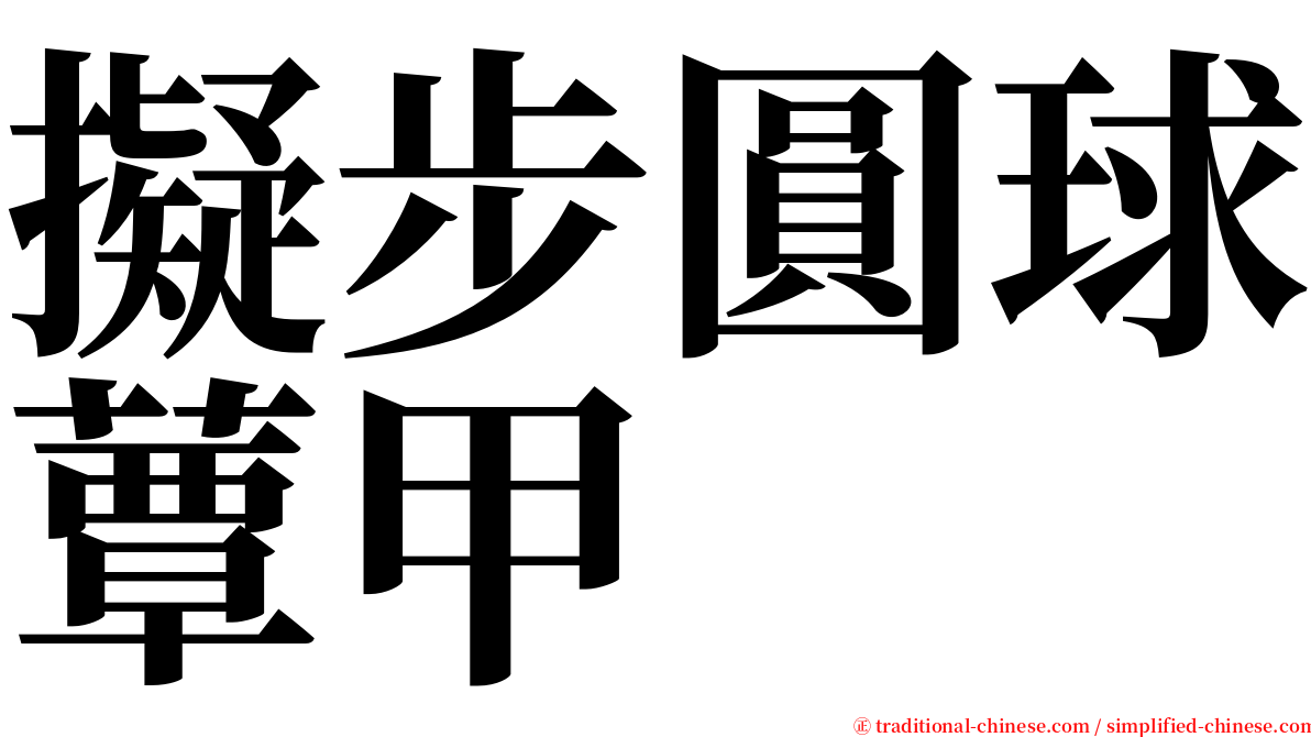 擬步圓球蕈甲 serif font