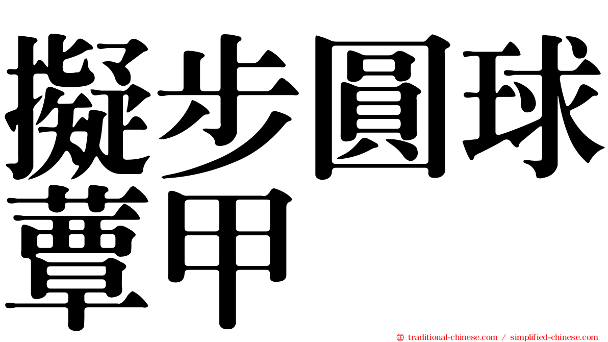 擬步圓球蕈甲