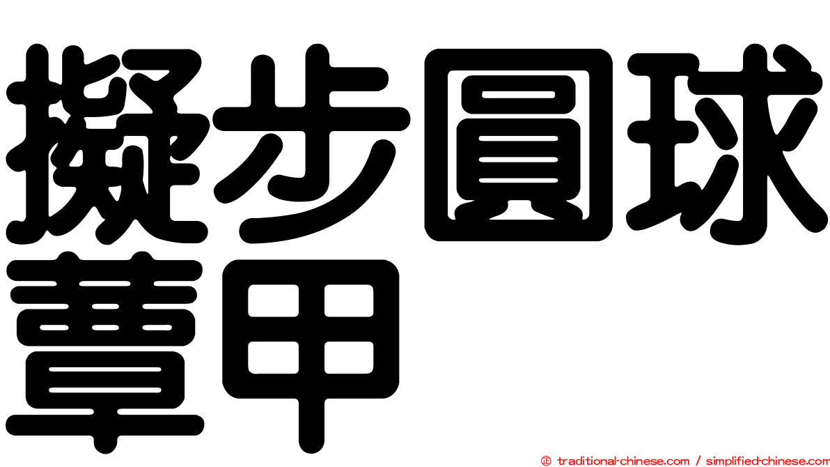 擬步圓球蕈甲