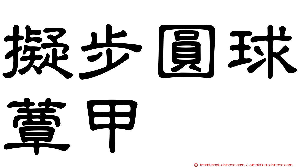 擬步圓球蕈甲