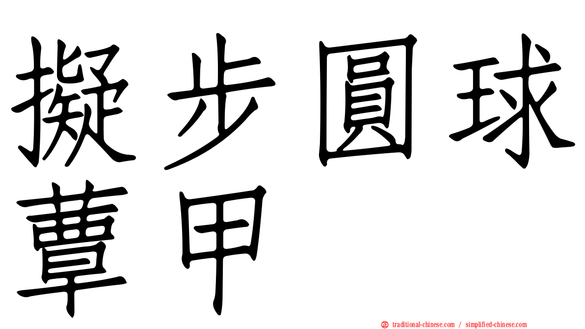 擬步圓球蕈甲