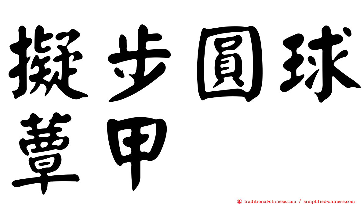 擬步圓球蕈甲