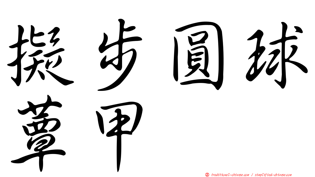 擬步圓球蕈甲