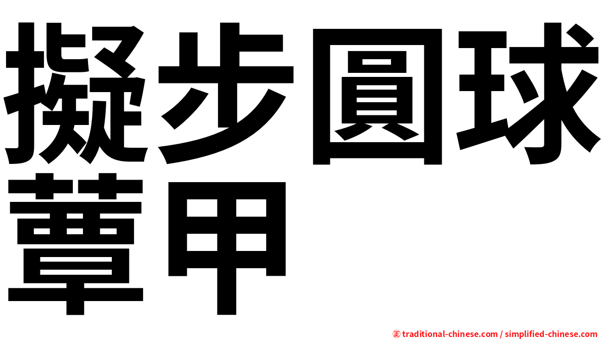 擬步圓球蕈甲