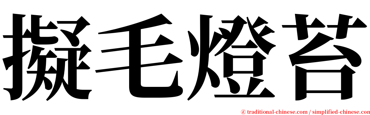 擬毛燈苔 serif font