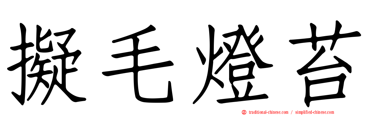 擬毛燈苔