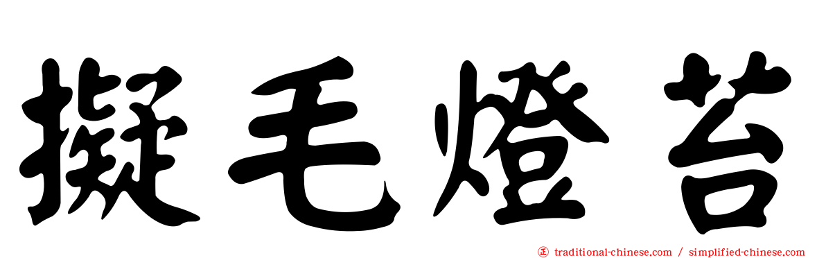 擬毛燈苔