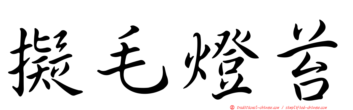 擬毛燈苔