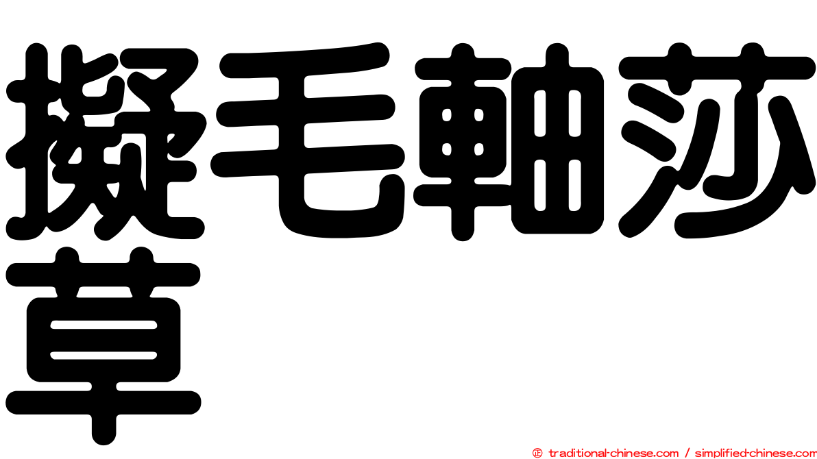 擬毛軸莎草