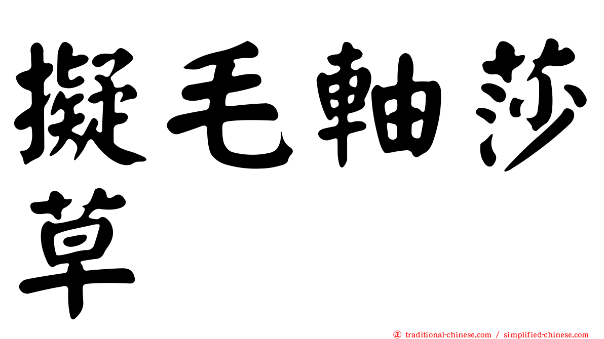 擬毛軸莎草