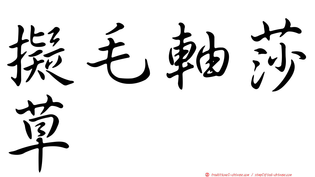 擬毛軸莎草