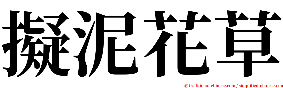 擬泥花草 serif font