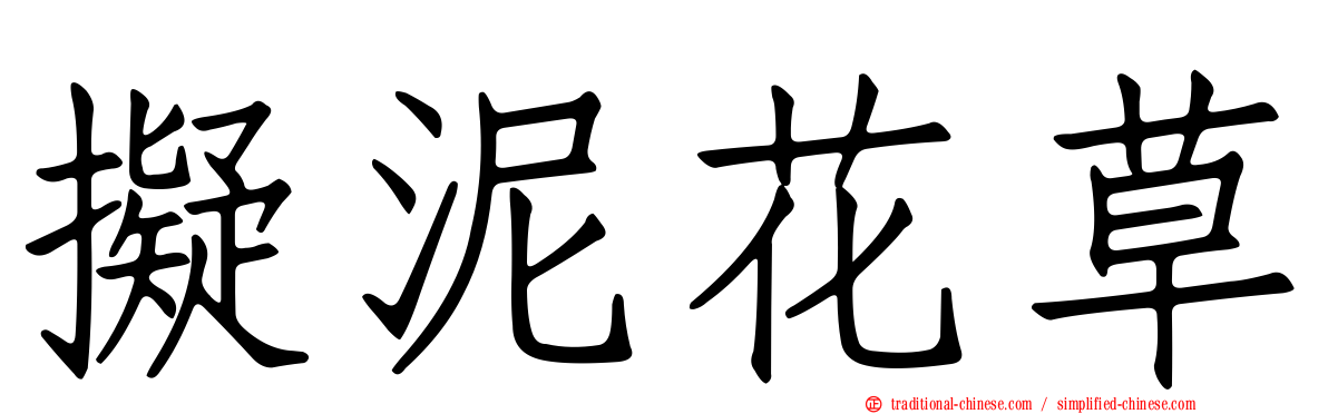 擬泥花草