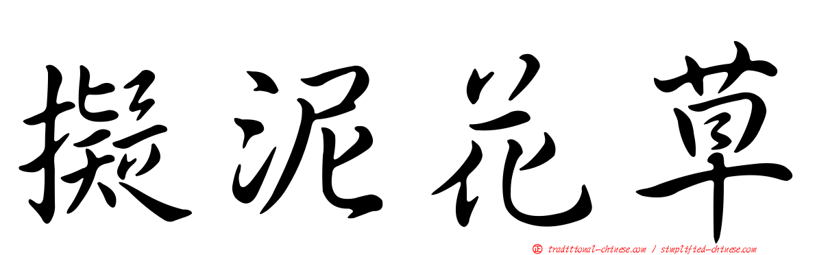 擬泥花草
