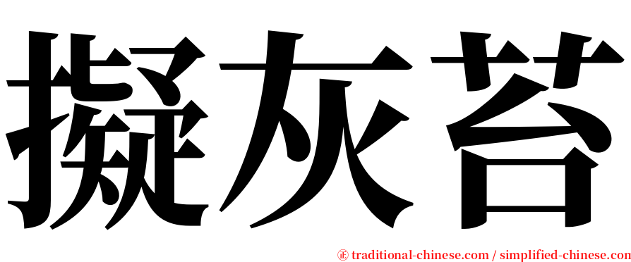 擬灰苔 serif font