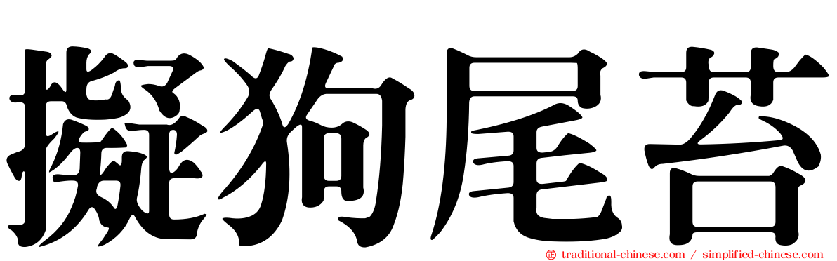 擬狗尾苔