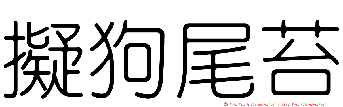 擬狗尾苔