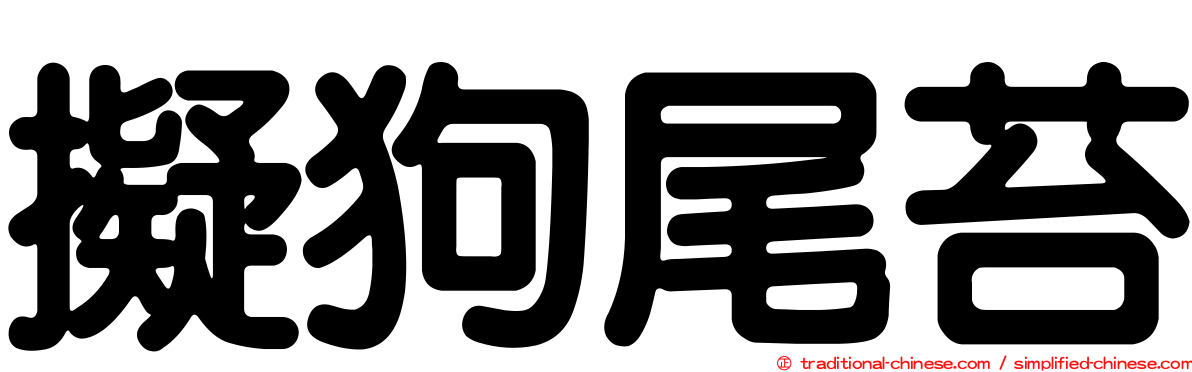 擬狗尾苔