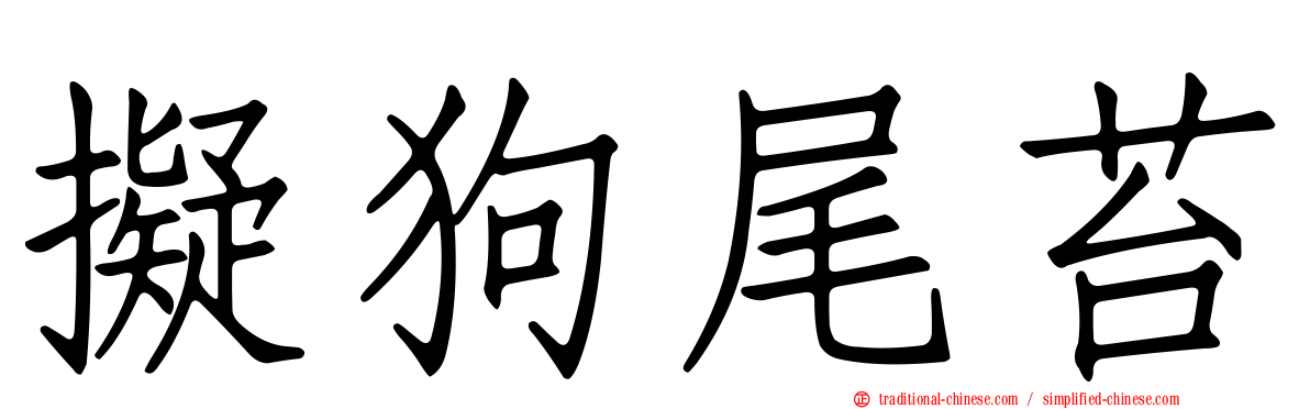 擬狗尾苔