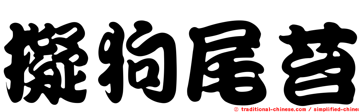 擬狗尾苔