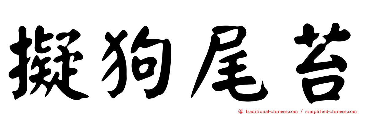擬狗尾苔