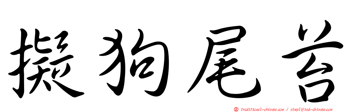 擬狗尾苔