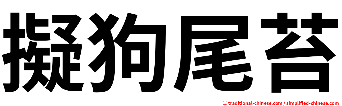 擬狗尾苔