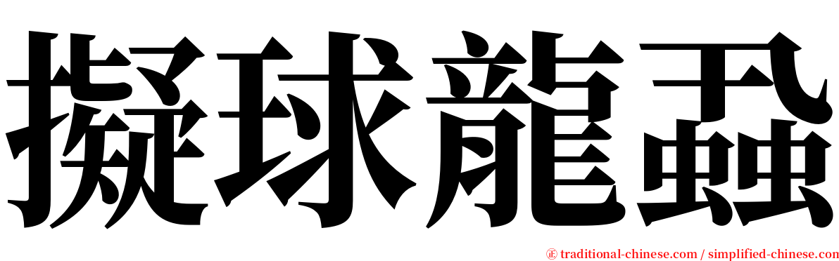 擬球龍蝨 serif font